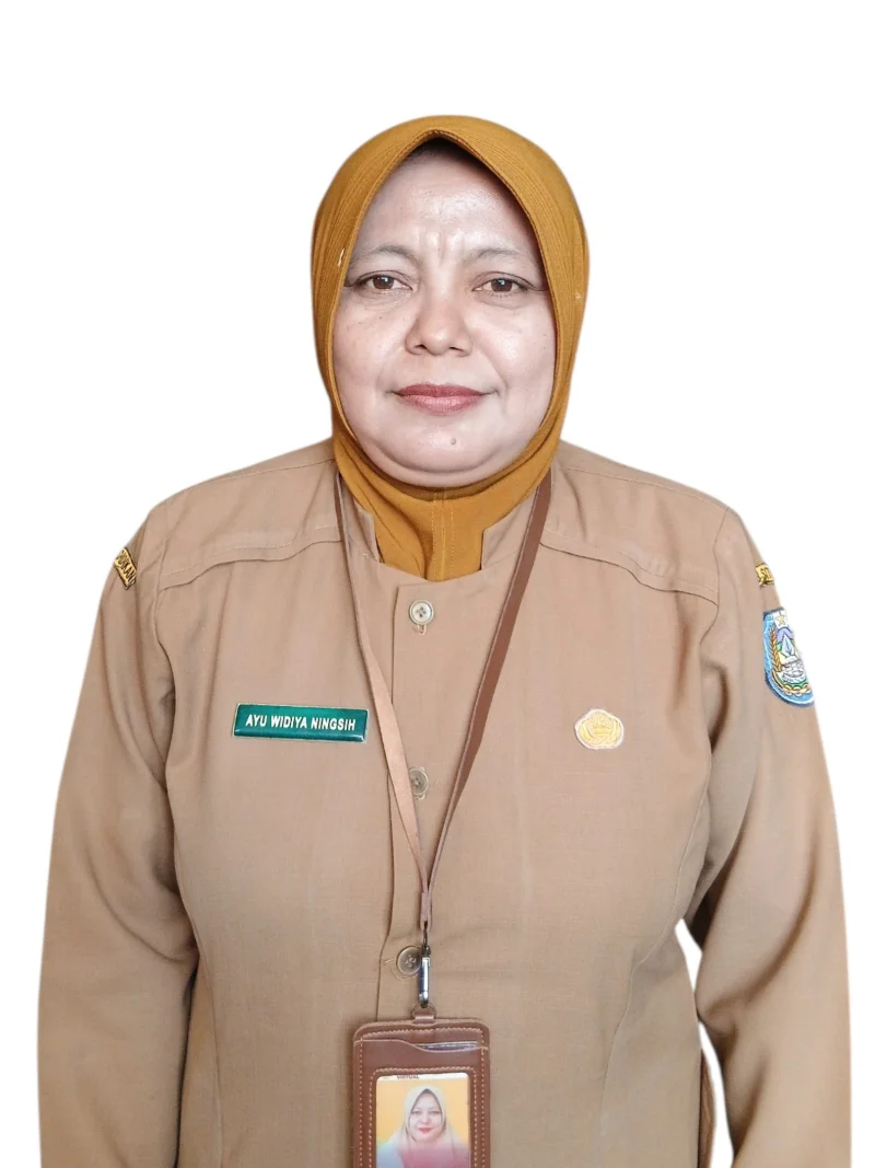 AYU WIDYA NINGSIH, S.Pd